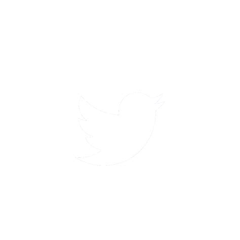 Twitter White Png Hd Png Pictures Vhvrs