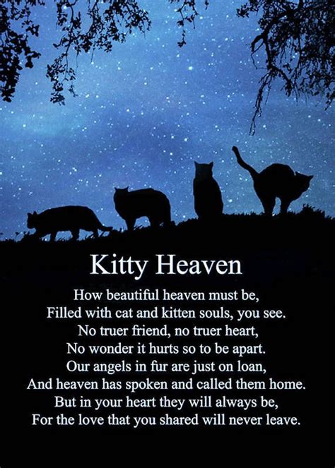 Cat Heaven Sympathy Poem For Memorial For Cat Art Print By Stephanie