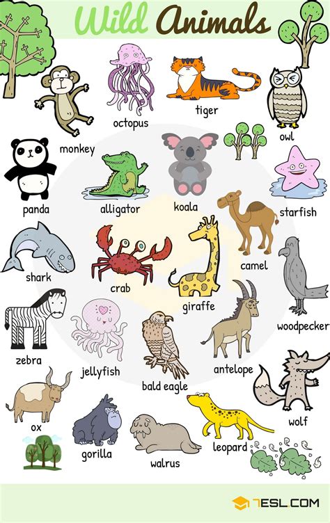 Wild Animal Vocabulary In English Eslbuzz Learning English Animals