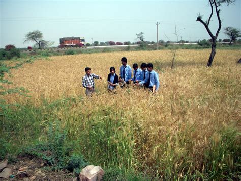 Agriculture Courses offered in India | Agriculture Courses ...