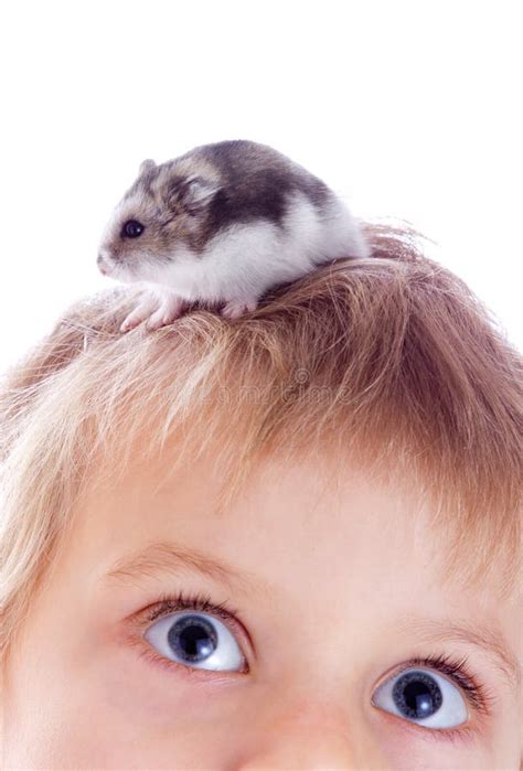 Child With Hamster Stock Photo Image 22412970