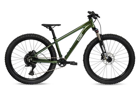 Scout 24 Inch 10 Speed Kids Mountain Bike Cleary Bikes