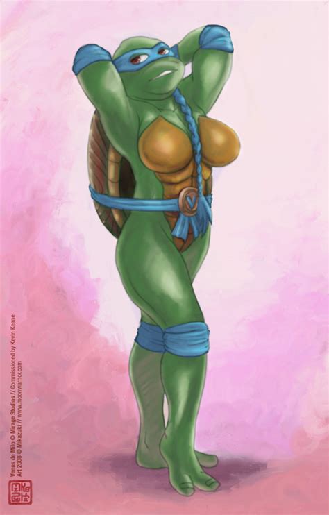 Rule Female Tagme Teenage Mutant Ninja Turtles Venus De Milo