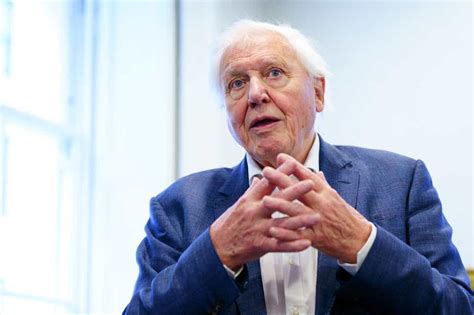 Sir David Attenborough: Dinosaurs always produce something unexpected
