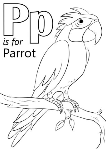 Customize your coloring page by changing the font and text. Letter P is for Parrot coloring page | Free Printable ...