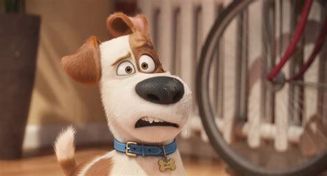 THE SECRET LIFE OF PETS Trailer, Images and Posters | The Entertainment Factor