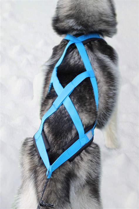 Weight Pulling Dog Harness X Back For Bike Canicross Sled Joring