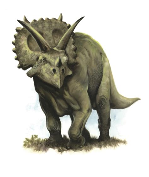 Arrhinoceratops Dinosaur From The Late Cretaceous Period Of Alberta