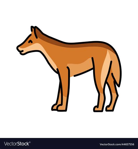 Dingo Dog Color Line Animals Royalty Free Vector Image