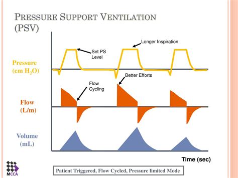 Ppt Modes Of Mechanical Ventilation Powerpoint Presentation Free