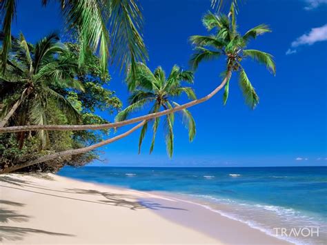 Exploring 10 Of The Top Beach Locations On The Islands Of Fiji Travoh