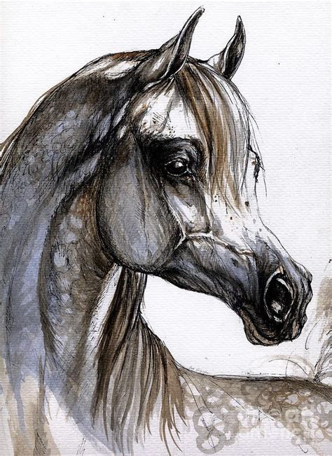 Arabian Horse Artwork Arabian Horse Head Drawing Horse Painting