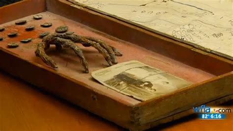 Welcome to the treasure cove hotel, conveniently located minutes from downtown! Pirate Treasure Discovered in Tampa Attic | Mental Floss