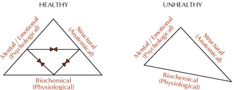 This product includes directions, a rubric, and a sample for students to create a google slideshow, powerpoint presentation, or poster on . TRIANGLE OF HEALTH - The System: Art & Science of Coaching