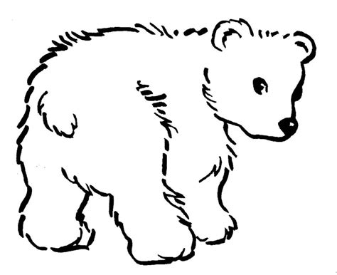 Dibujos de osos para colorear Fáciles y Bonitos