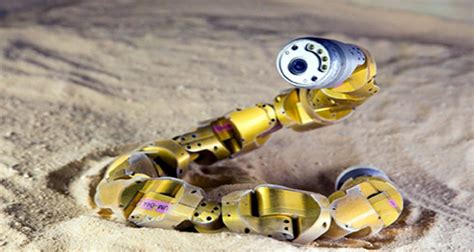 Snake Robots Learn To Turn By Following The Lead Of Real Sidewinders