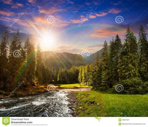 Mountain River In Pine Forest At Sunset Stock Image Image Of Outdoor