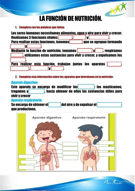 An Image Of The Human Body And Its Functions In Spanish With Text Below It