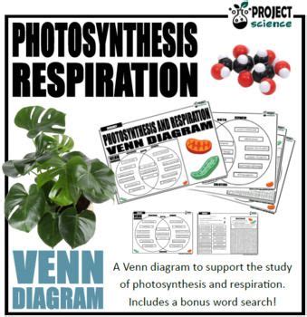 Photosynthesis And Respiration Venn Diagram Venn Diagram
