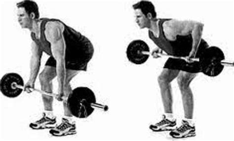 How To Perform Reverse Grip Bent Over Barbell Rows Hubpages