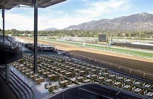 Santa Introduces New Seating Amenities For Breeders 39 Cup