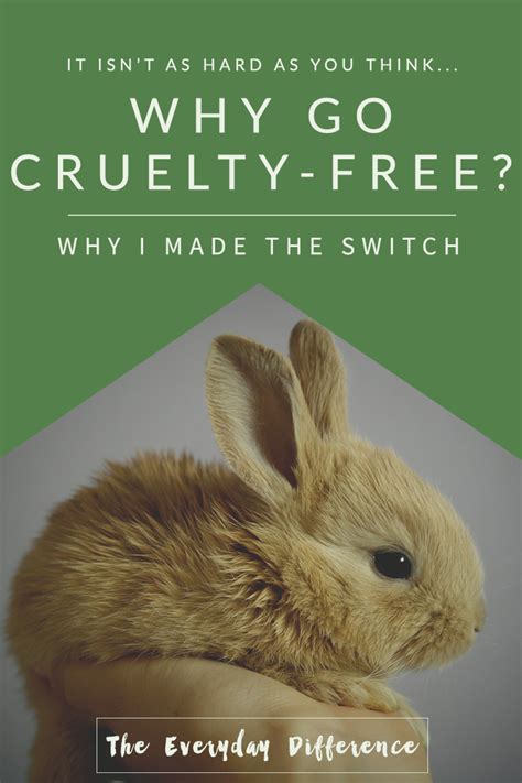 Why Go Cruelty Free Why I Made The Switch The Everyday Difference