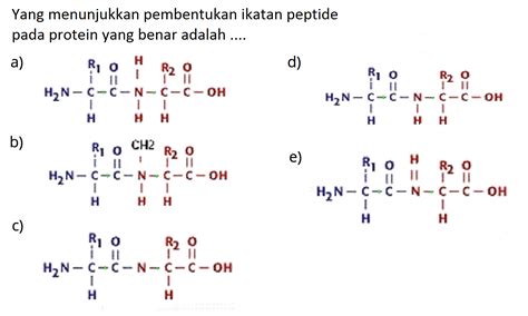 Yang Menunjukkan Pembentukan Ikatan Peptide Pada Protein