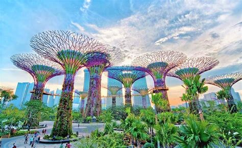 What Is Biomimetic Architecture And Why Young Architects Should Know