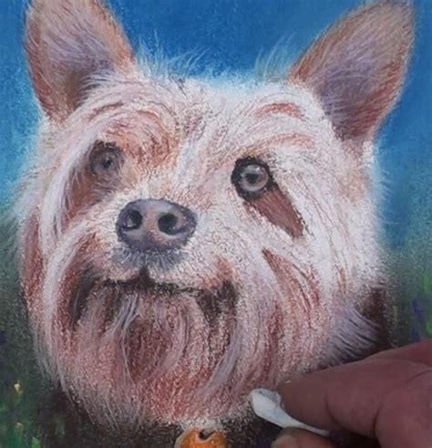 How To Draw A Long Hair Dog In Pastel Online Art Lessons