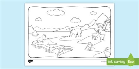 New Arctic Animals Colouring Montage Page Twinkl
