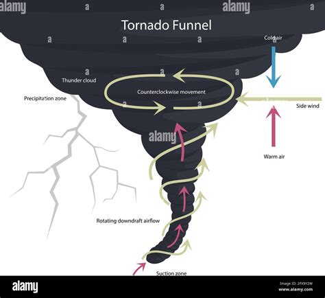 Vector Illustration Of Tornado Formation Tornado Structure Natural