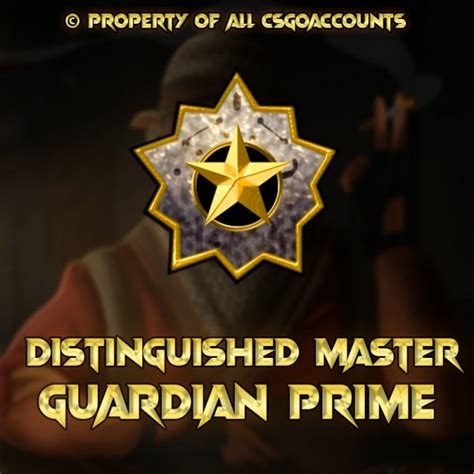 Distinguished Master Guardian Prime Account Can Add Friends