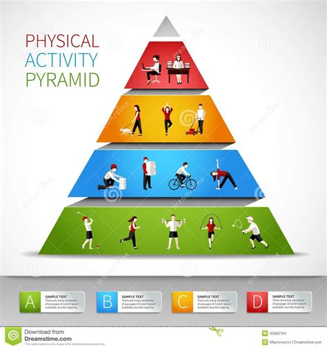 Pirámide De La Actividad Física Infographic Ilustración Del Vector