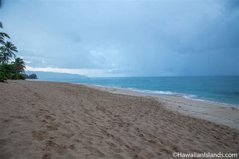 Laniakea Beach Local Insider Review Also Known As Turtle Beach