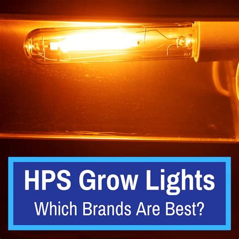 The distance you keep your high pressure sodium grow light away from the tops of your plants (no matter how big the plants actually are) will be determined by a strong high pressure sodium light requires a strong exhaust fan, and is a critical choice as the central component of your garden design. High Pressure Sodium Grow Lights: Which Brands Are Best ...