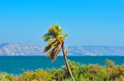 14 Top Rated Tourist Attractions In The Sea Of Galilee Region Planetware