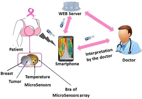 Steps Diagram For Early Breast Cancer Detection Download Scientific