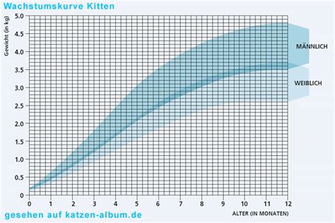 Bin ja gespannt wie groß unsere mimi wird. Wann ist eine Kater ausgewachsen? (Katzen, erwachsen)