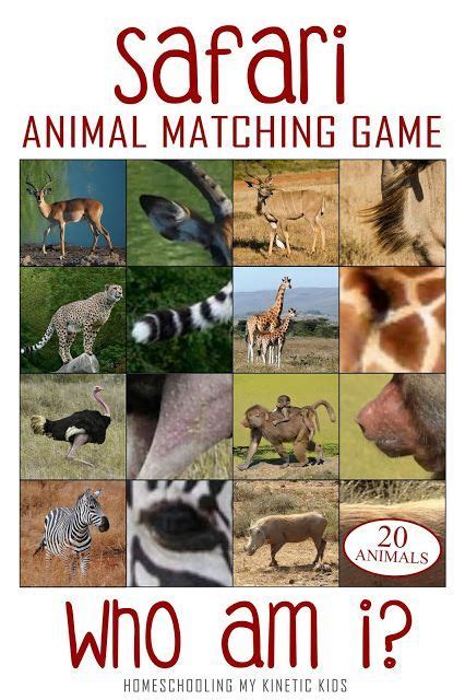 Who Am I African Safari Matching Game And 3 Part Cards Animal