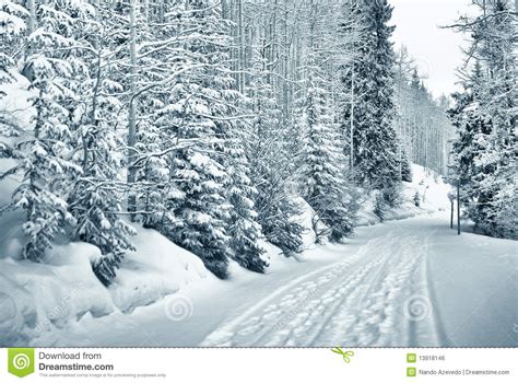 Snowy Path 4 Of 9 Royalty Free Stock Image Image 13918146