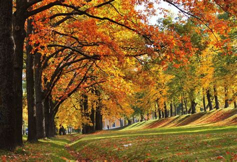 46 Beautiful Fall Scenery Wallpaper On Wallpapersafari