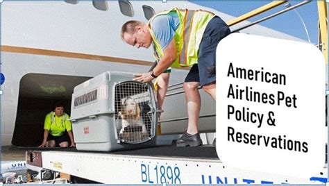 Cats & dogs only, must travel as cargo. American Airlines Pet Policy & Reservations | Godhelpus