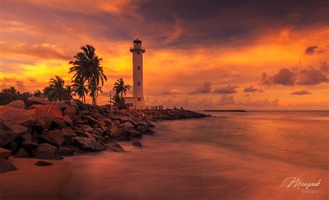 Download Horizon Tropical Palm Tree Sea Ocean Sunset Man Made