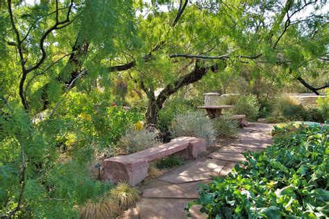 Garden Bench Springs Preserve Botanical Garden Las Vegas Renee