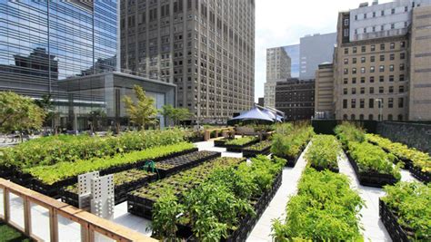 Benefits of urban agriculture estimated in the billions - University of ...