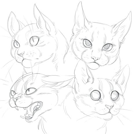 Sources Of Inspiration For Cat Drawing Reference Diary Drawing Images