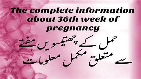 Pregnancy At 36th Week The Complete Mothers Guide About 36th Week Of