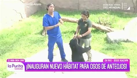 Youtube Viral Pancho Cavero Sobrevive A Ataque De Oso Gracias A Su