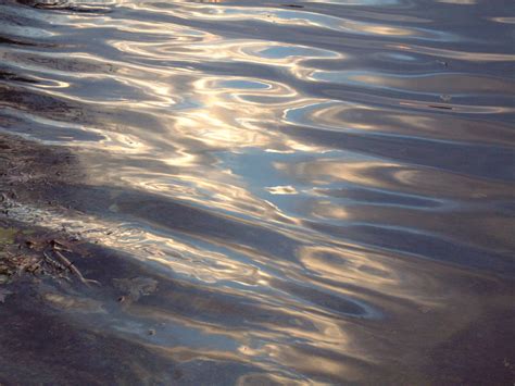 Water Ripple Water Ripples Royalty Free Stock Photo And Image Best
