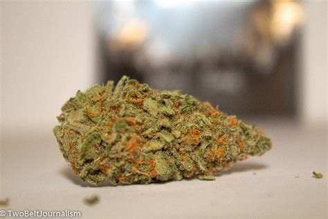 Reviewing The Candy Apple Strain From Treehawk Farms